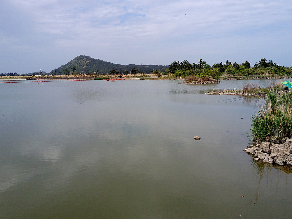 올레13코스: 용수저수지