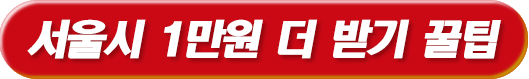 서울시 1만원 더 받기 꿀팁