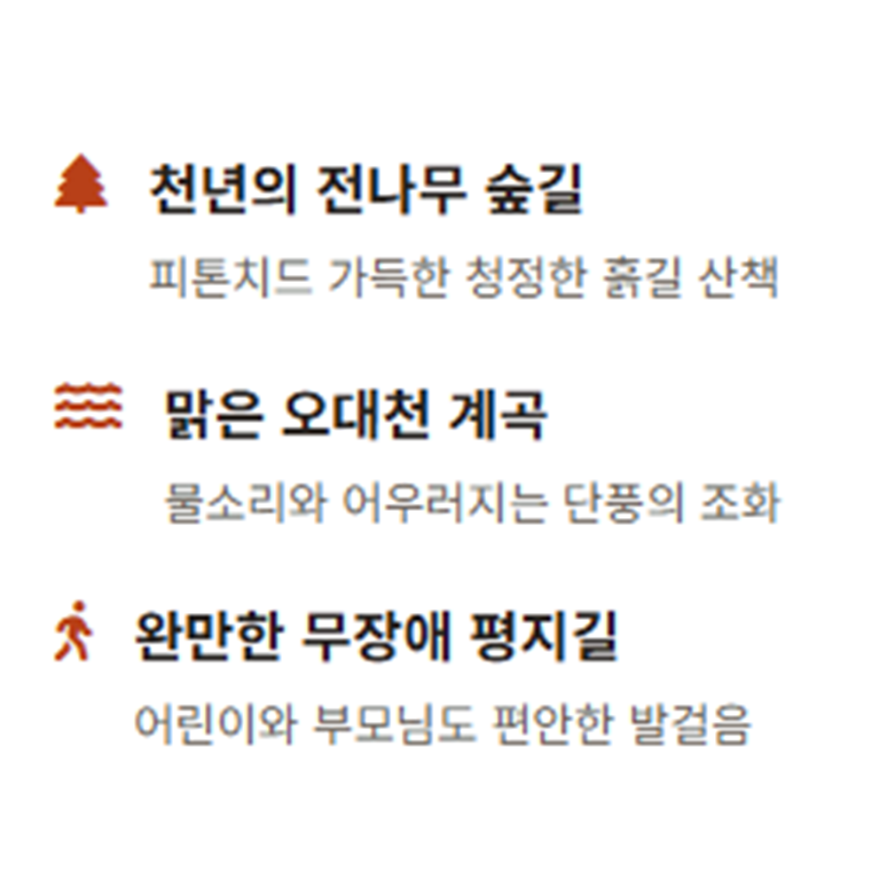 오대산 선재길 단풍