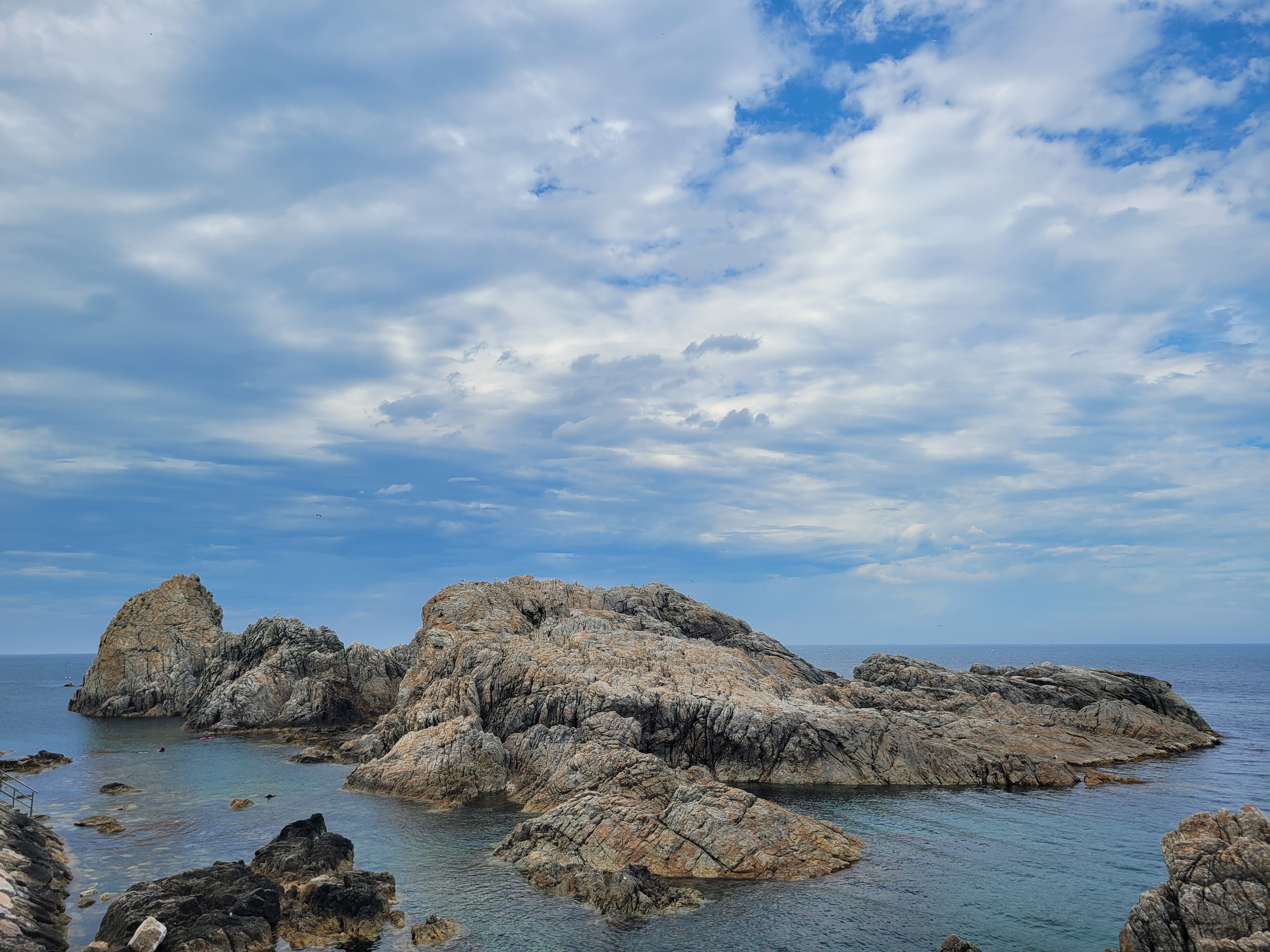 이미지-alt-태그-장호항 해변