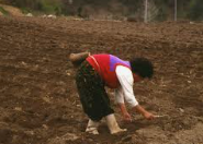 전남 고흥군 여성농어업인 행복바우처