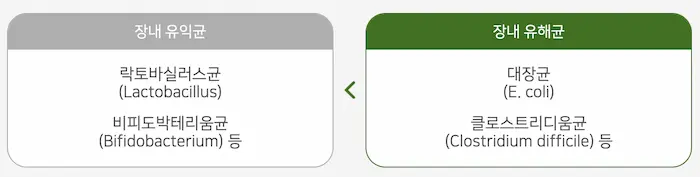 출처: 식약처간행물_건강을 좌우하는내몸안의 장내미생물
