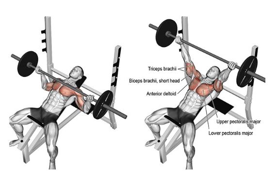 인클라인 벤치 프레스