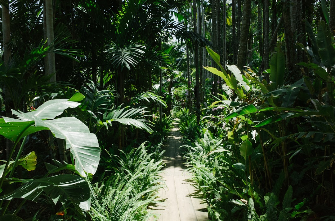 Botanical Garden