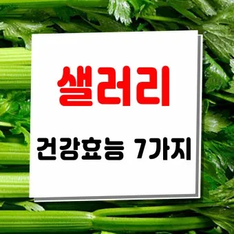 샐러리 효능 알고 먹는법 잎 생으로 손질법 요리_22