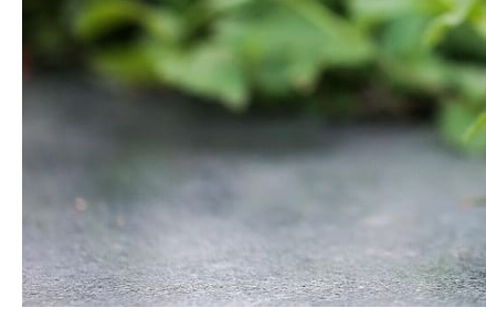 전자담배 기내반입
