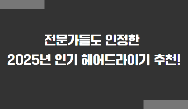 전문가도 인정한 인기 헤어 드라이기 추천