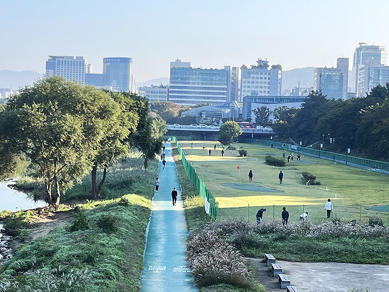 성남시파크골프장 (수내파크골프장) 경기 성남시 분당구 수내동 47