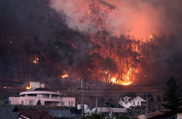 #산불예방 #기후변화 #산림보호 #방화대 #통제화입 #산불대책 #산림청 #임도논쟁 #내화건축 #환경보호 #지속가능한산림 #산불안전 #화재예방 #자연재해대응