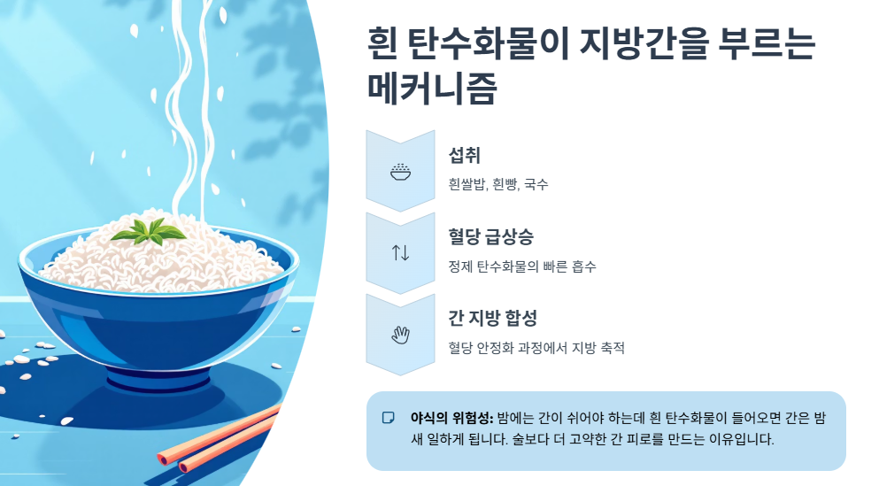 흰 탄수화물이 지방간을 부르는 메커니즘