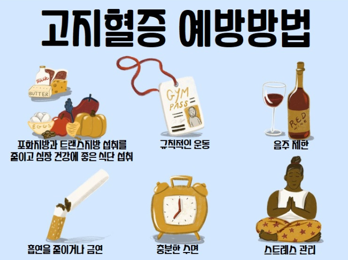 고지혈증