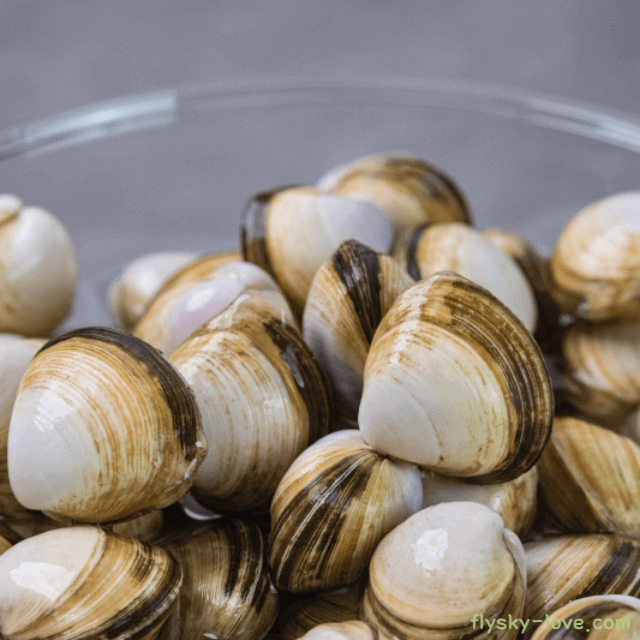 시원한 국물 맛을 내는 동죽