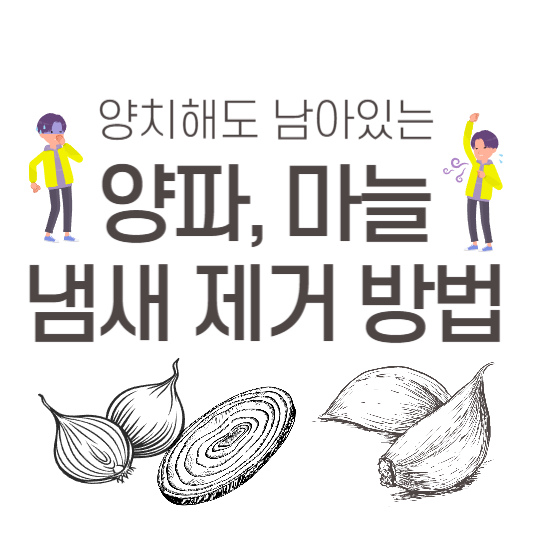 마늘 양파 입냄새 제거