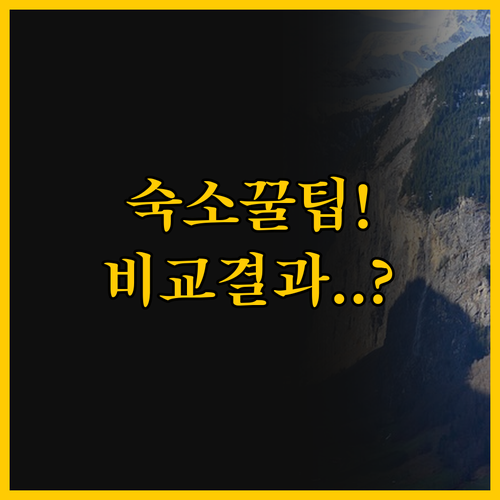 인터라켄 숙소 비교 가이드 호텔 융프..