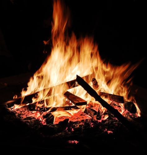 나는생존자다,경제,삶