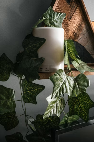 공기청정기 순위 2026년 성능 및 가성비 완벽 가이드