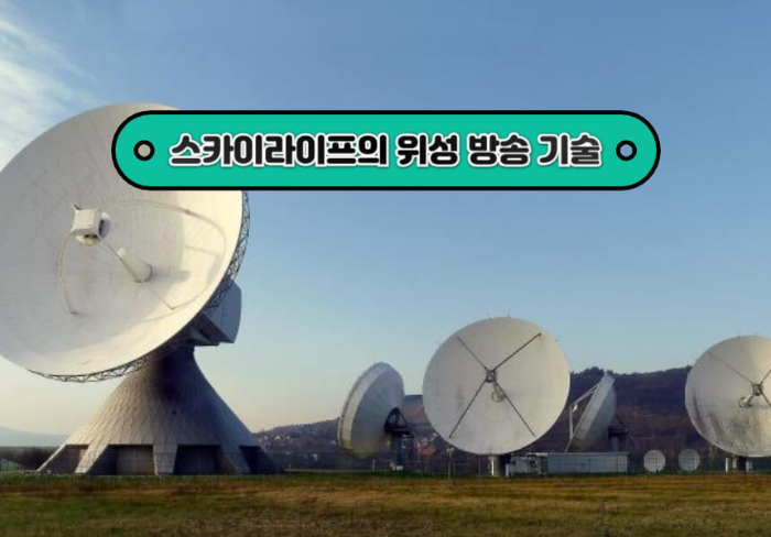 스카이라이프의 위성 방송 기술