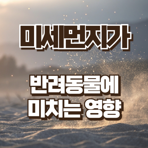 미세먼지가 반려동물에 미치는 영향