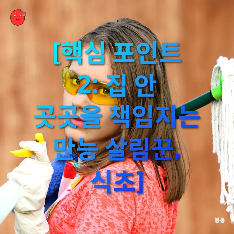 친환경 청소_2