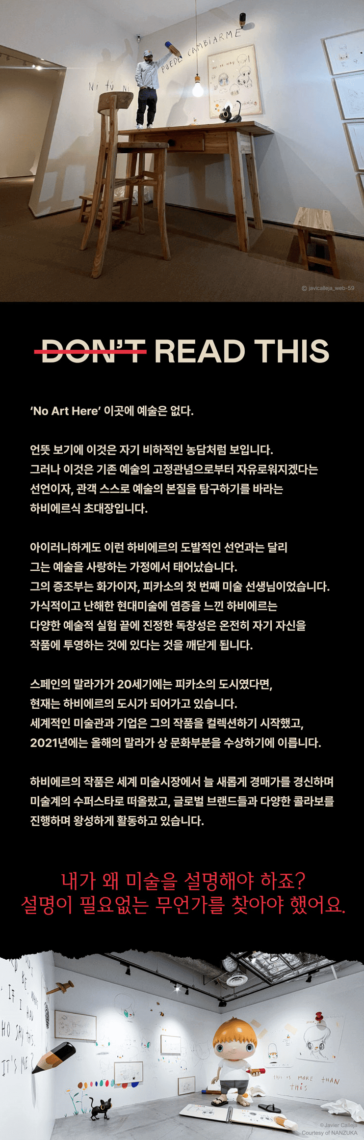 하비에르 카예하