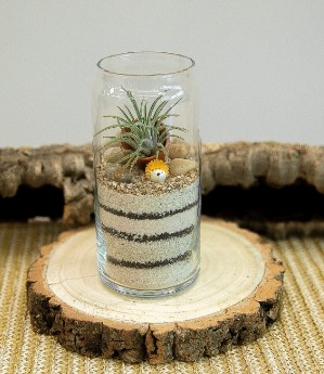 사막세상 '동물 테라리움'