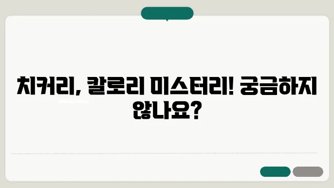 치커리 칼로리