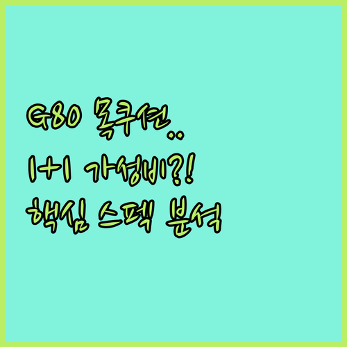 G80 목쿠션부터 1+1 가성비까지 ..