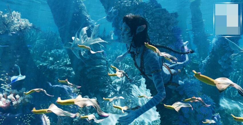 키라의 바다 적응하는 모습