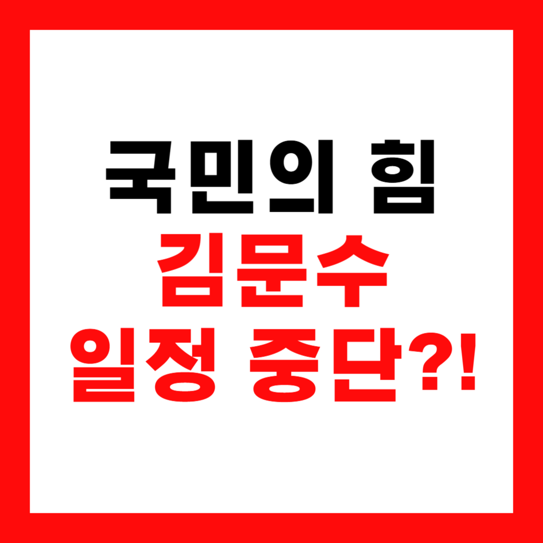 김문수 일정 중단