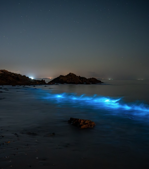 충청남도 여름 여행