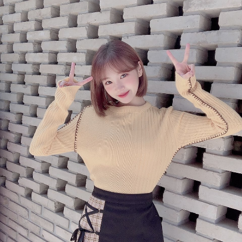 채원단발