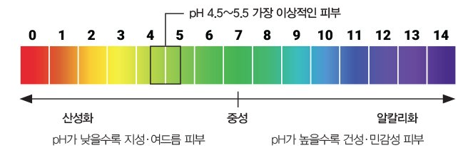 약산성 pH 란
