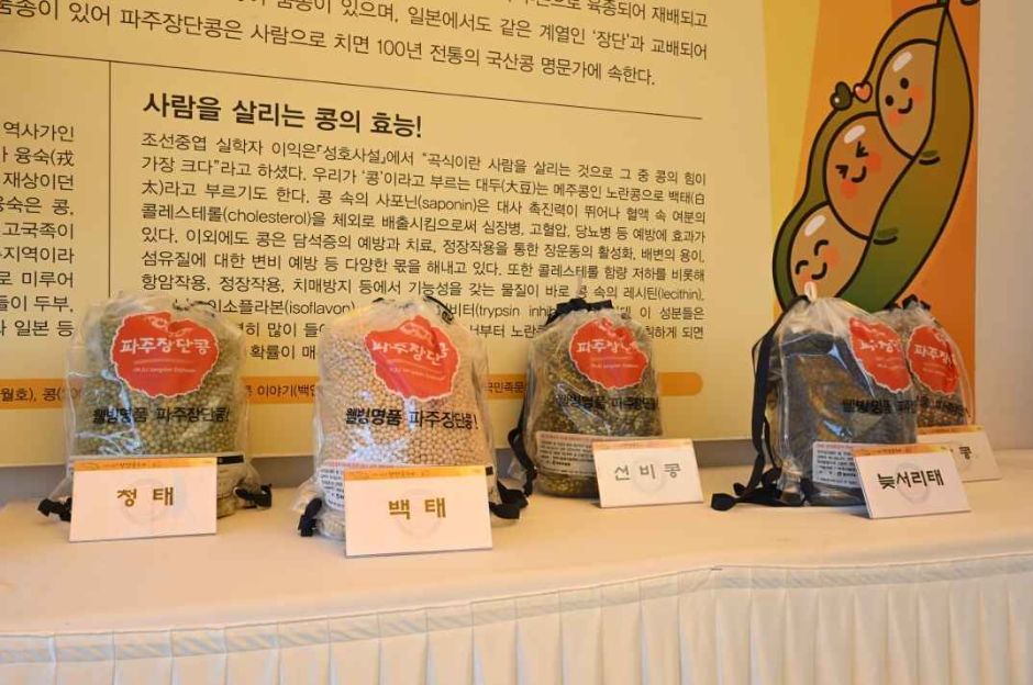 11월 지역 축제 서울 경기 가을 축제