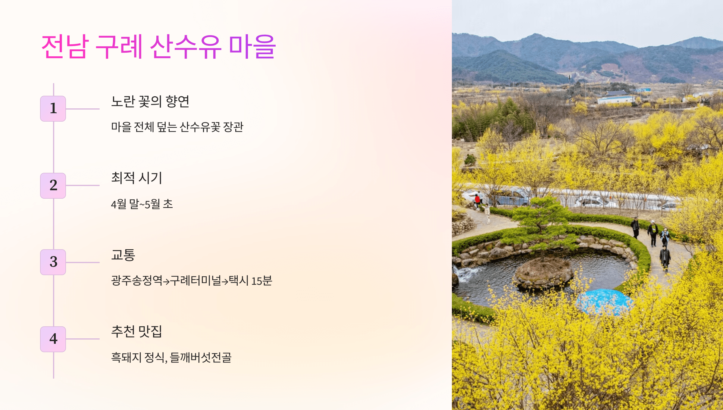 전남 구례 산수유 봄꽃 명소