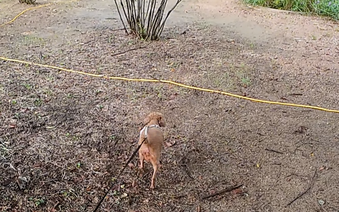 Alt 속성 문제 해결 설명 이미지