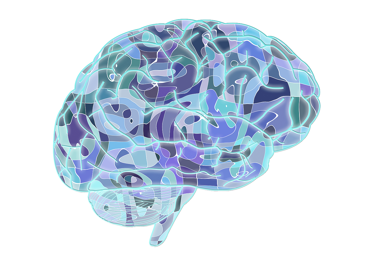 뇌혈관질환 종류 증상