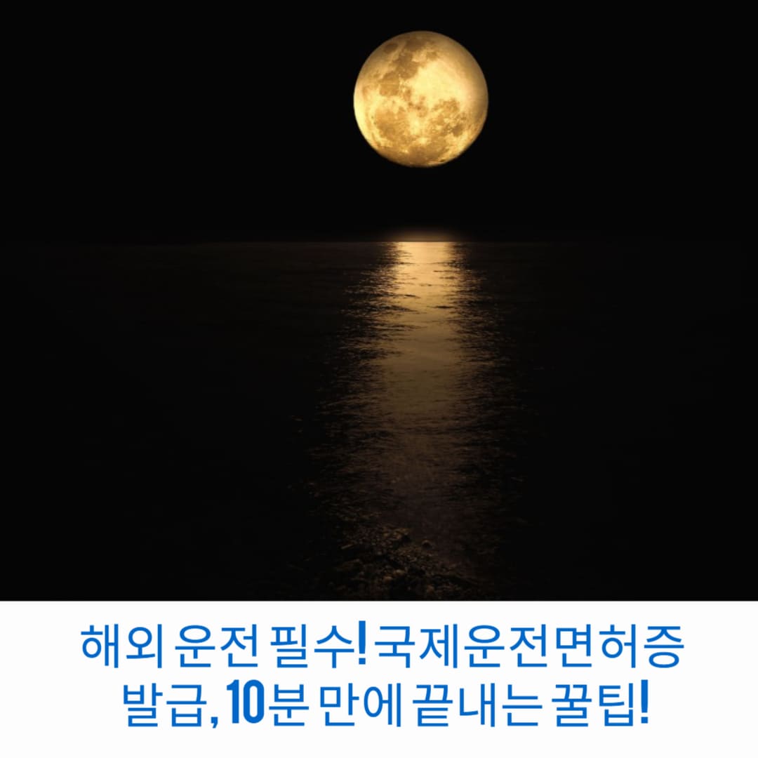 해외-운전-필수-국제운전면허증-발급-10분-만에-끝내는-꿀팁-썸네일