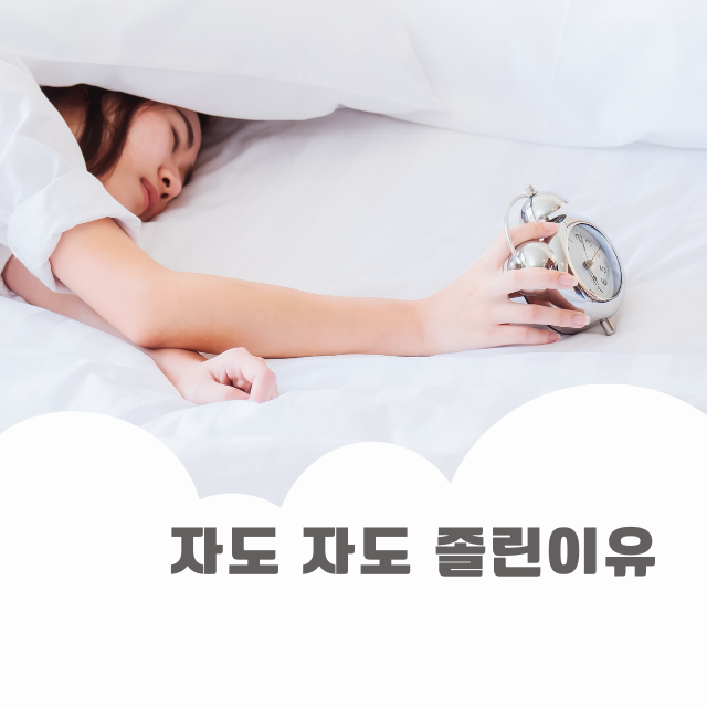 잠이 계속 와요