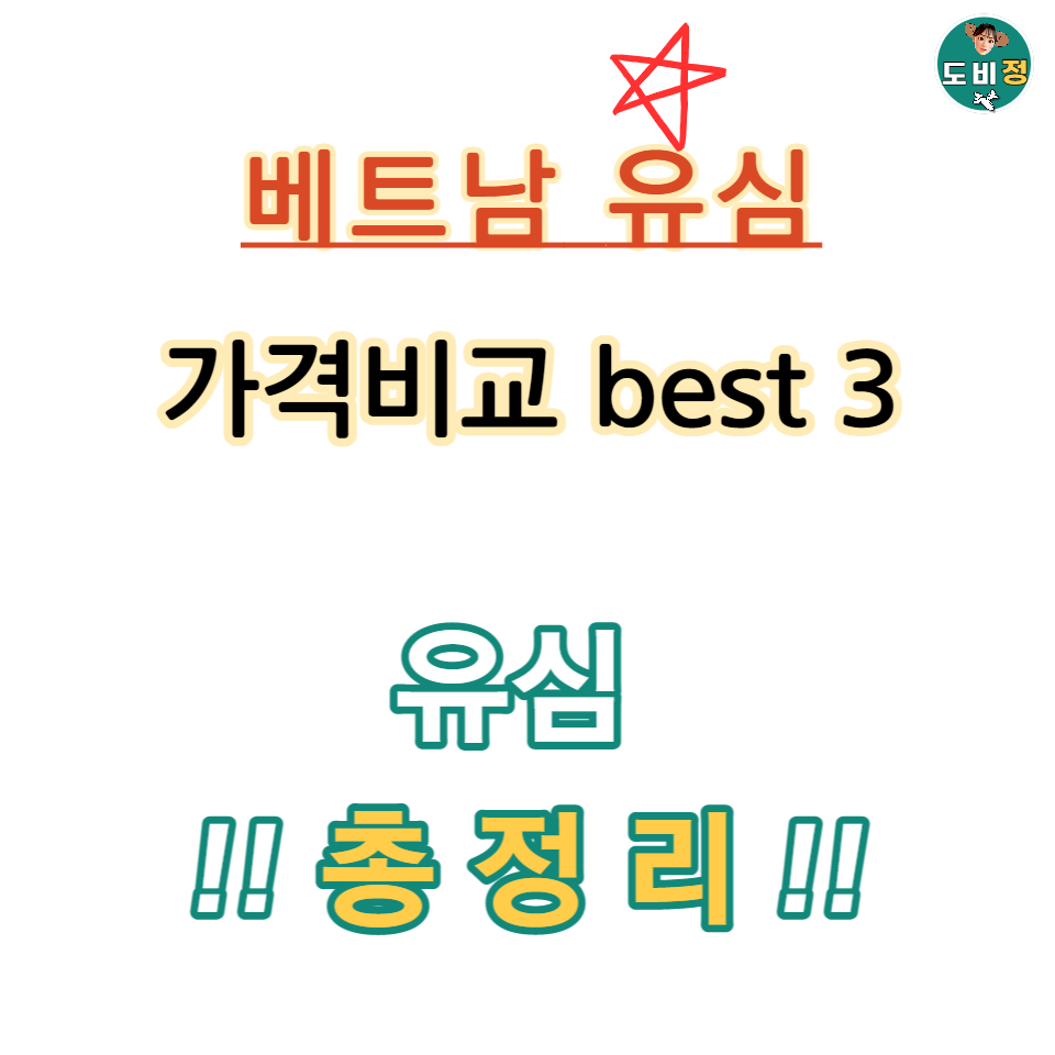 베트남 유심칩
