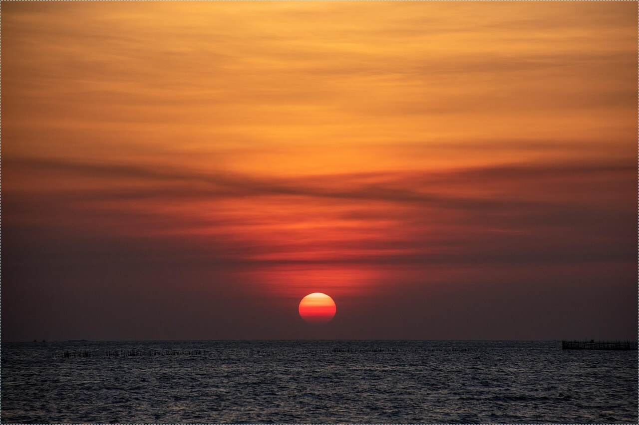 프랜차이즈 창업