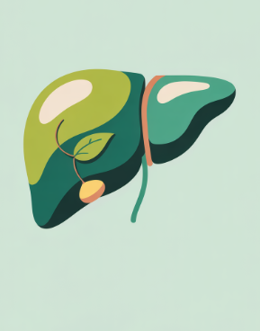 간경화 초기증상