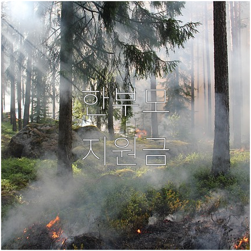 2025 세종시 한부모가족 지원금 총..