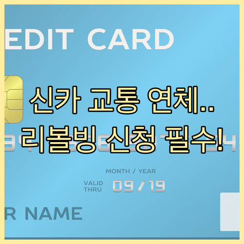 신한카드 후불교통 요금 연체 방지 리..