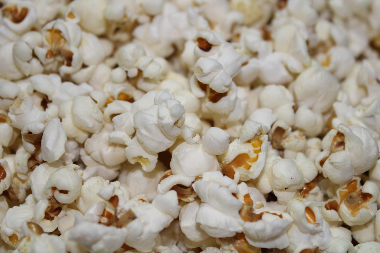 팝콘 사진