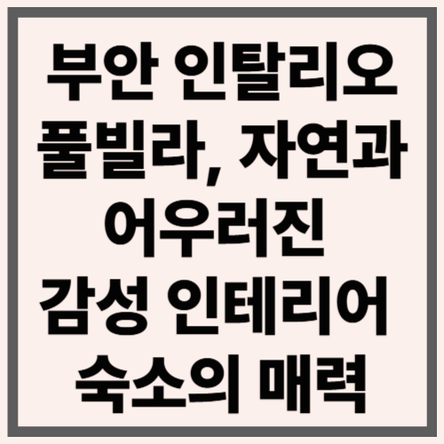 부안 인탈리오 풀빌라, 자연과 어우러진 감성 인테리어 숙소의 매력