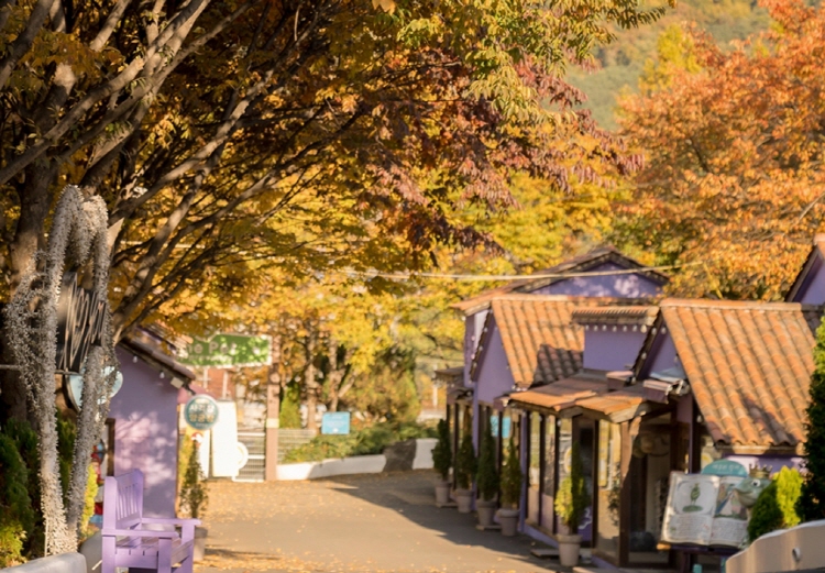 청도 프로방스