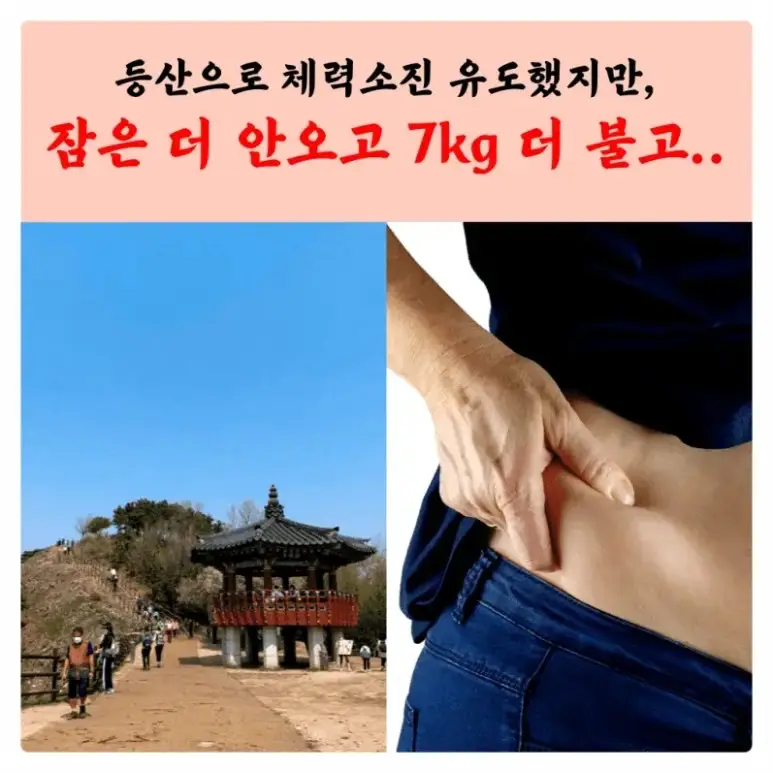태반주사