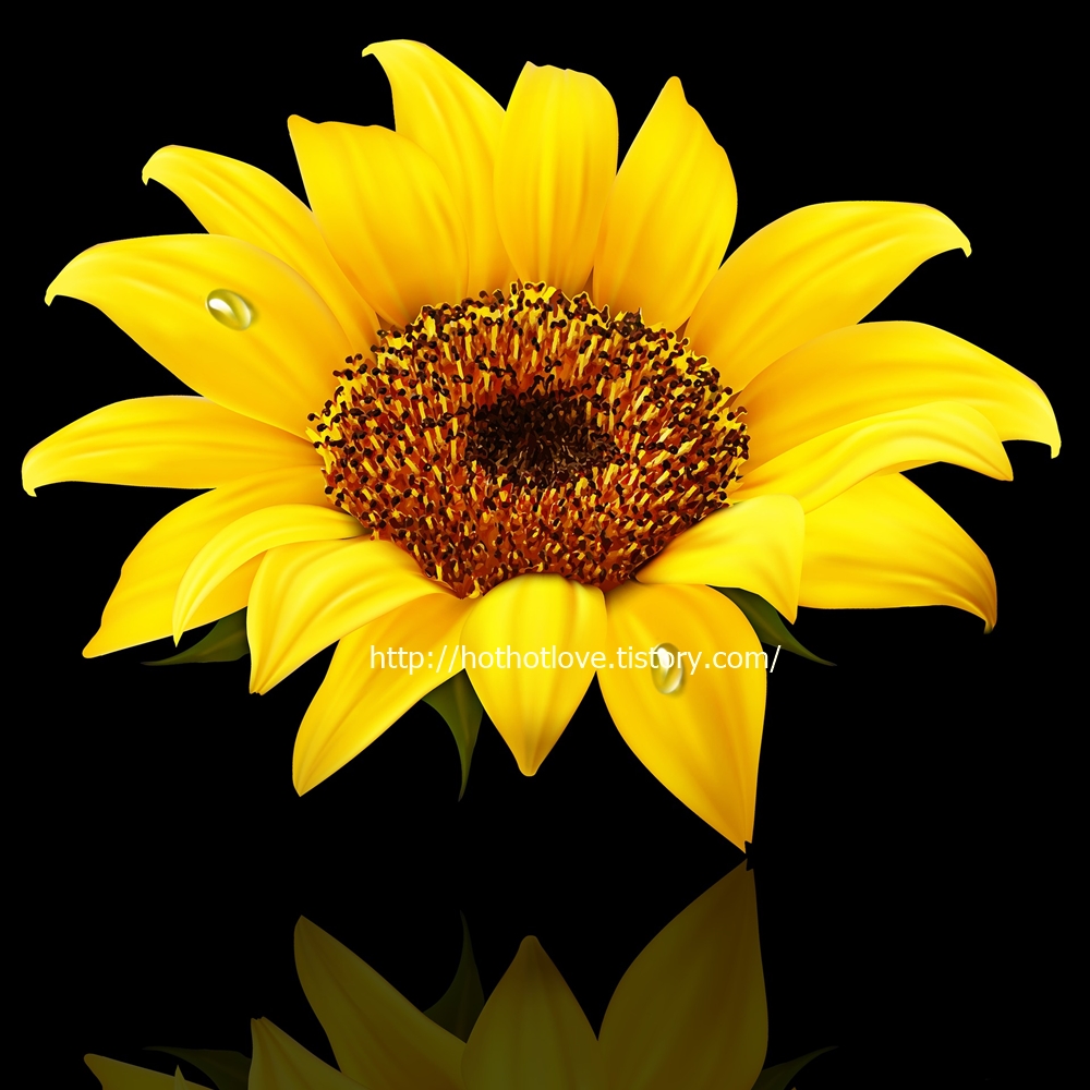 오스트레일리아 문화