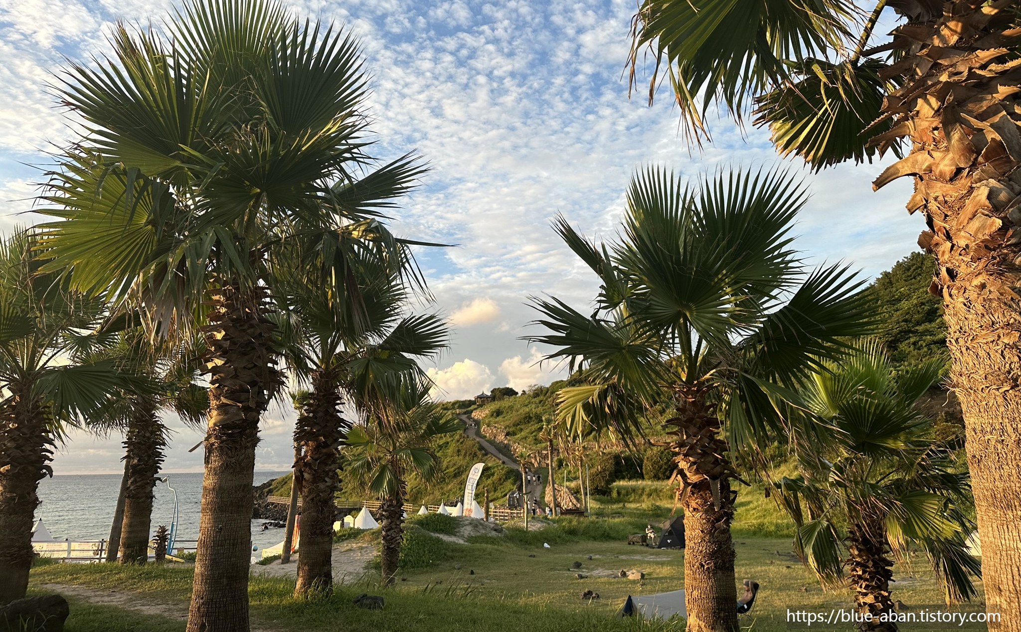 함덕 서우봉 야영장