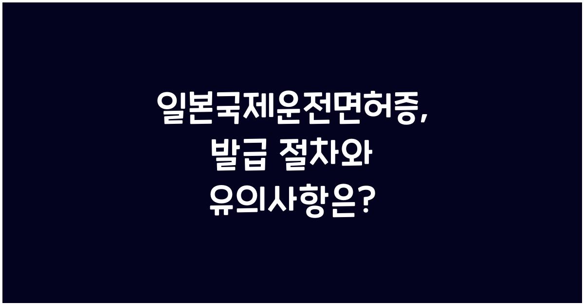 일본국제운전면허증
